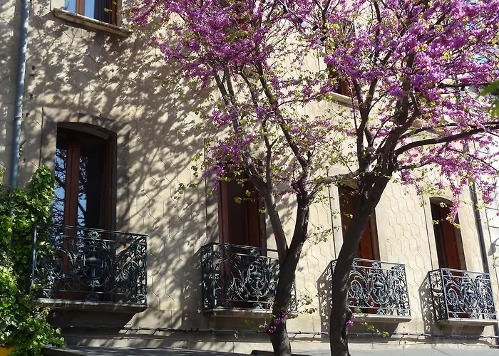 Les Santolines